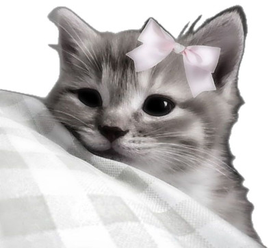 Homo Sapien, 18, India