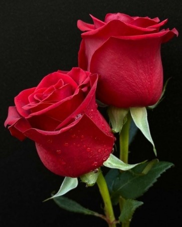 Tamil Love, 28, India