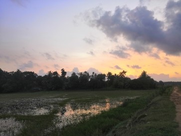 Sachu, 30, United Arab Emirates