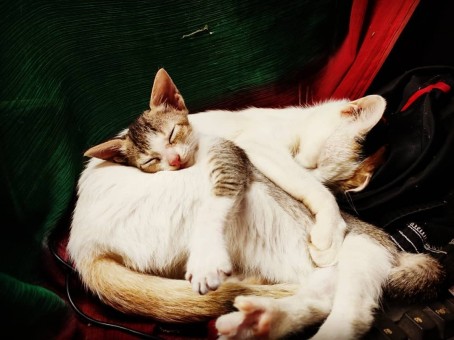 Smiling Is Easy, 27, India