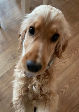 Tristan , 43, United Kingdom