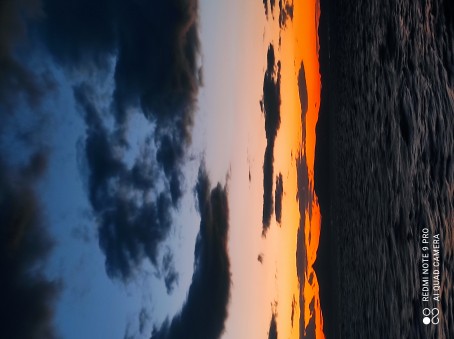 Duckling, 99, Ã…land Islands