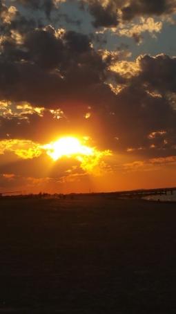 Chris, 50, United States