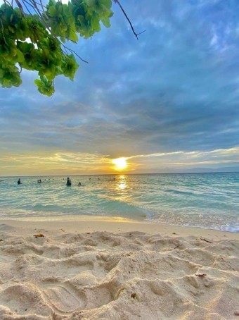 Alucard, 31, Philippines