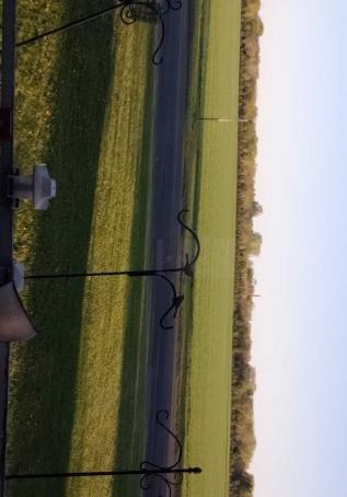 Trent, 45, United States