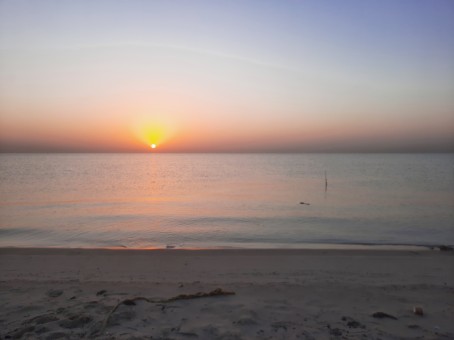 Zia, 34, Saudi Arabia