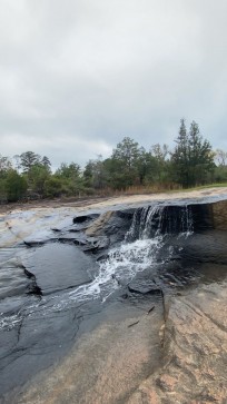 Madison, 22, United States