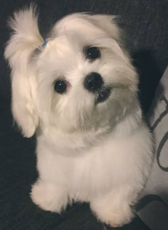 ANG3L , 29, Australia