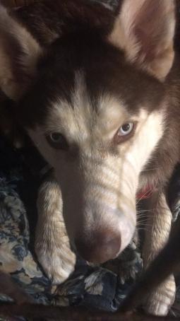 Tittickler, 50, United States