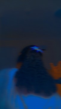 2Validd_revenaa, 19, New Zealand