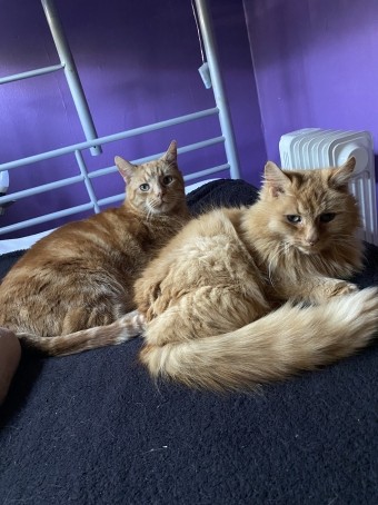 AJ, 21, United Kingdom