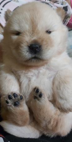 Lei, 30, Philippines