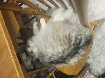 Jake, 21, United States