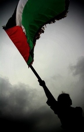 Dqsifjiajzeidjsq, 24