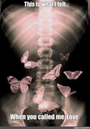 CoolguestCool, 33, Saudi Arabia