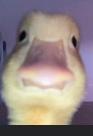 IknowImNotTheOnlyOne, 99, United States