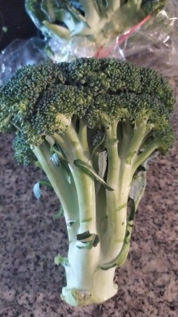 Amstrang, 26, Gambia