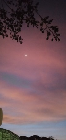 Neesh97, 26, Philippines