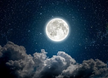 Zack, 21, United States