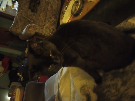 Davidwolf, 50, United States