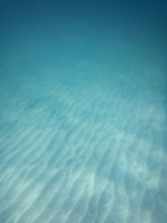 Hiroi Sekai, 28, Japan