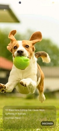 My Melody, 49, Philippines