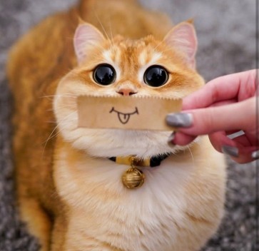 Guest0952818c, 22, Indonesia