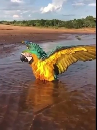 Older1957, 65, Australia