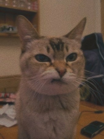 Ae , 99, Philippines