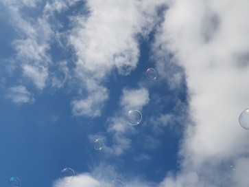 Pet-sub, 46, United Kingdom