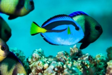 Curious Couple, 41, New Zealand