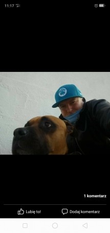 Marius, 40, Netherlands