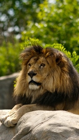 Shawn, 21, United Kingdom