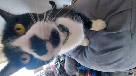 Logan , 21, United States