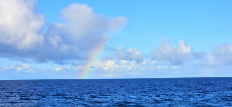 BlueEyes , 37, Australia