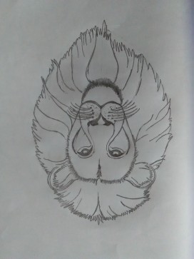 Time Pass , 21, India